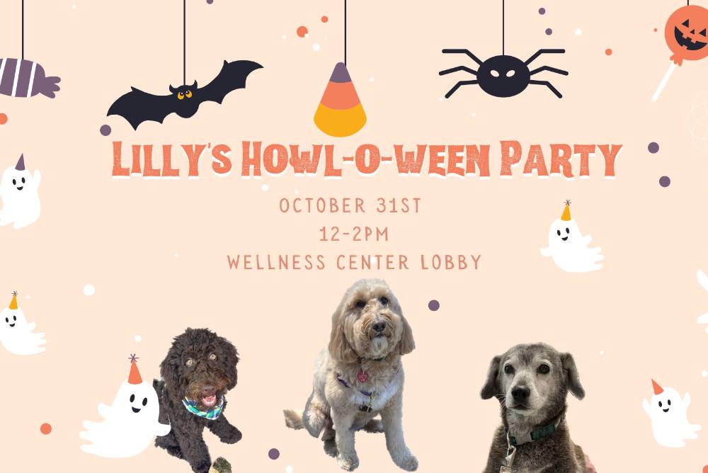Lilly's Howl-O-Ween Party with 3 dogs