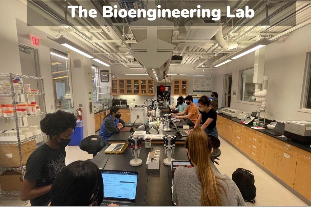 The Bioengineering Lab