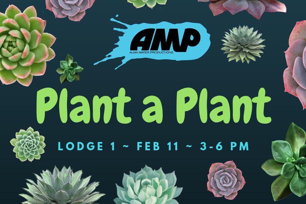 plant a plant cover photo