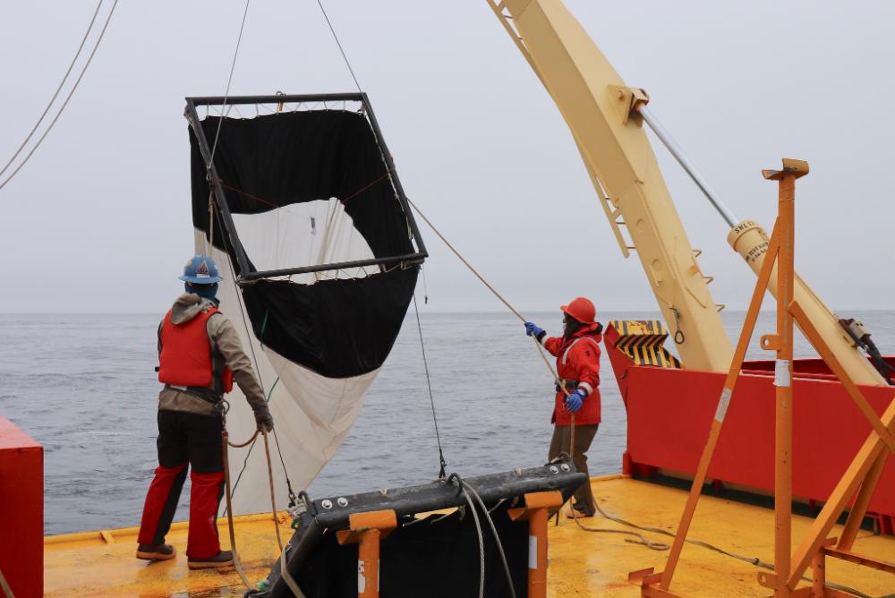 VIMS professor (R) &Marine Technician Josh Mitchell of the U.S. icebreaker Laurence M. Gould retrieve a plankton net from the Southern Ocean along the Antarctic Peninsula. © P. Thibodeau/VIMS.