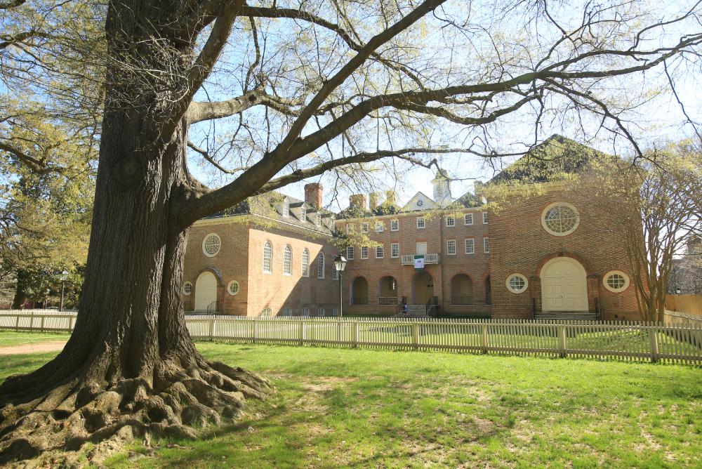 A view from under a tree looking out on the historic Wren Building, with a sandy-colored brick façade, white circular windows, large rounded doors, and enclosed in a short white picket fence.