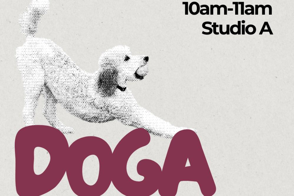 Dog Yoga Promotional Flyer