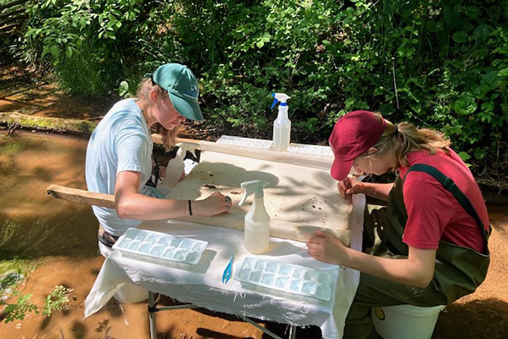 Scientists analyzing stream samples