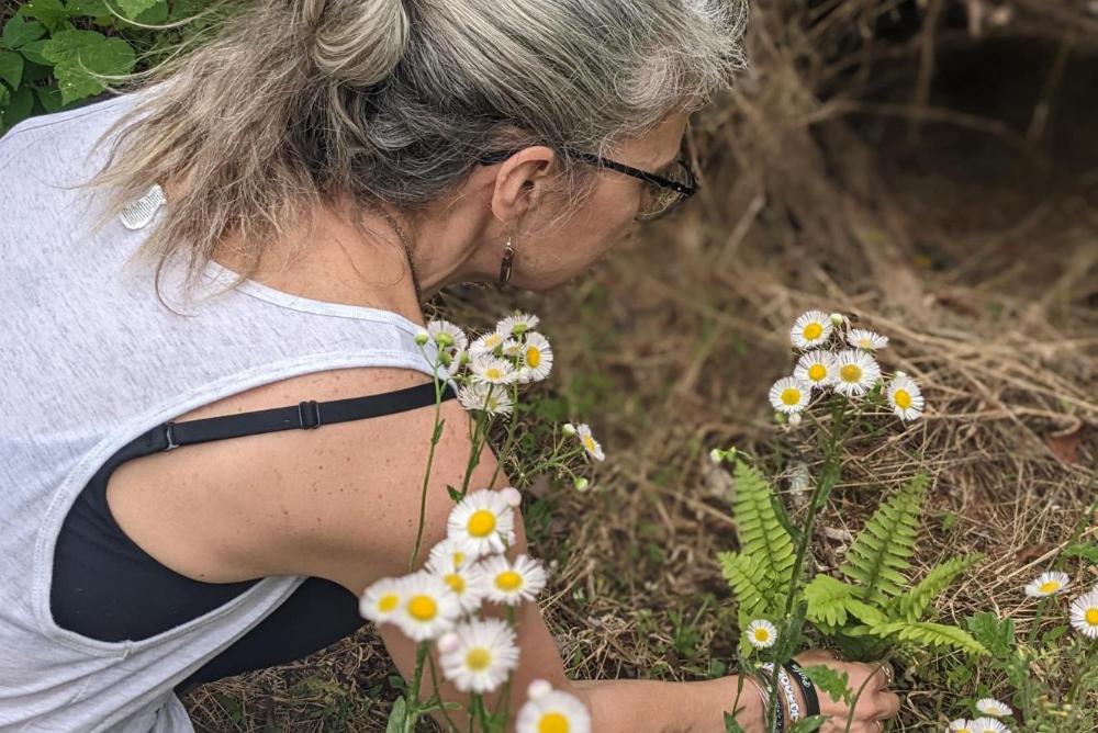 Highland Trail Expert examines green fern with yellow and white wildflowers