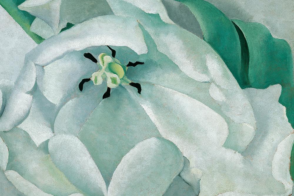 GEORGIA O’KEEFFE | American, 1887 – 1986 | White Flower, 1932 | Oil on panel | © Georgia O’Keeffe Museum, ARS | Gift of Mrs. John D. Rockefeller, Jr. | 1934.007