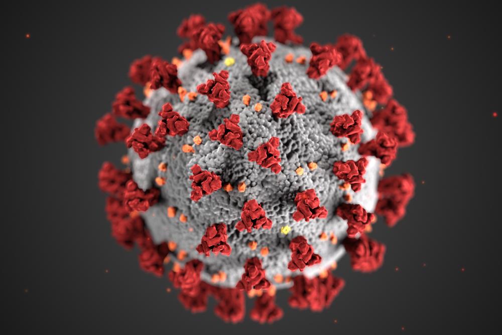 Coronavirus by CDC