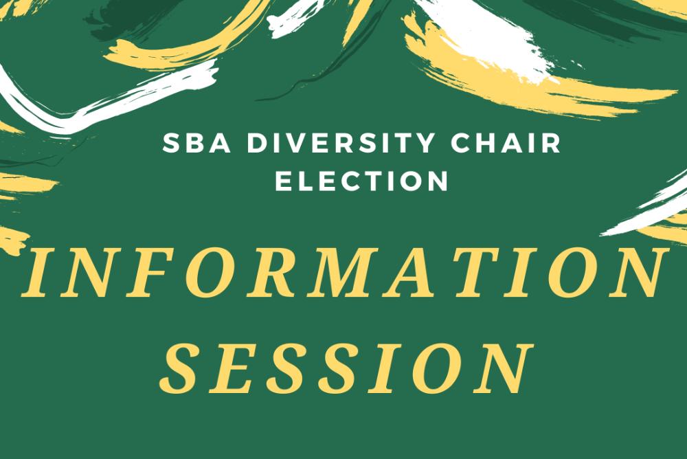 Diversity chair info session