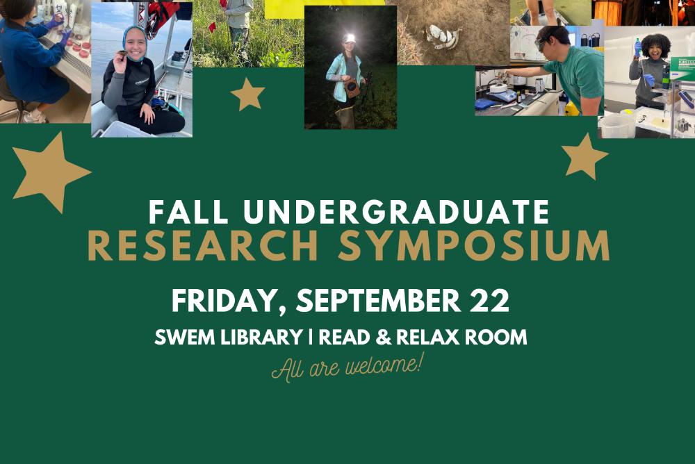 images of students doing various kinds of research