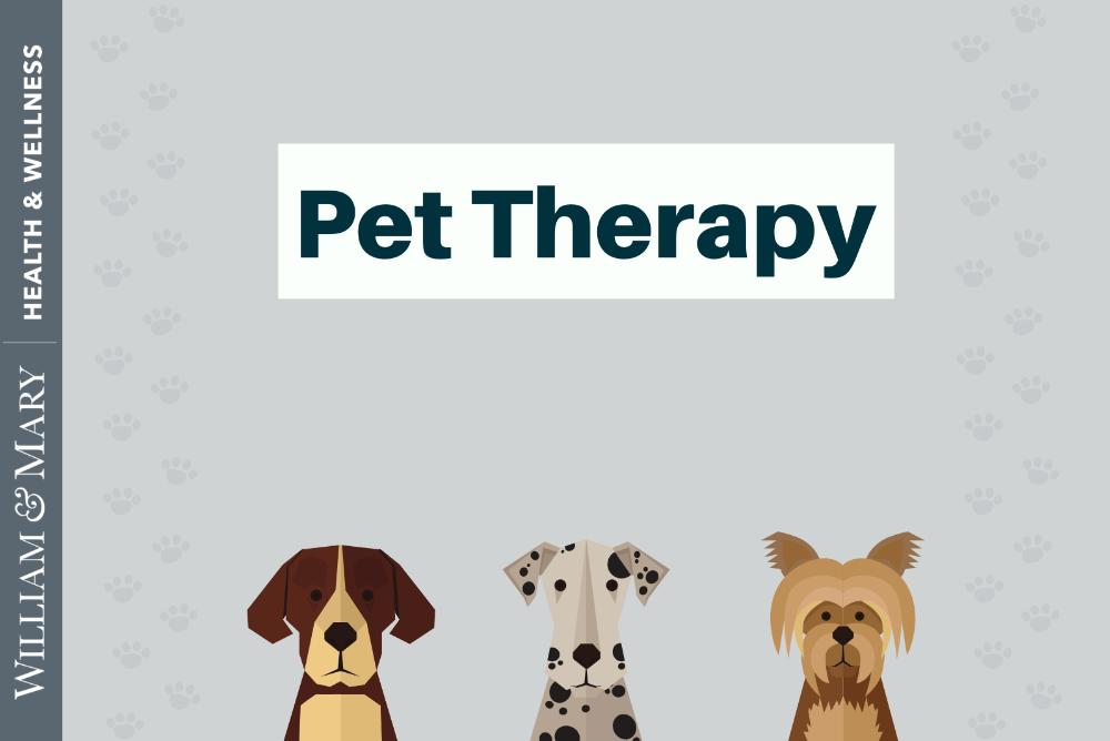 Pet Therapy