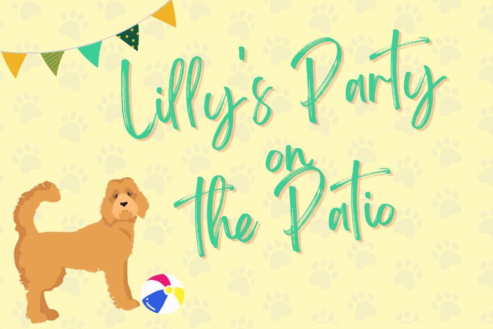 Pet Therapy with Lilly