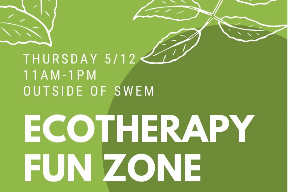 Ecotherapy Fun Zone Flier